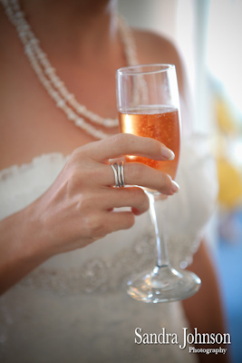 Best Don Cesar Wedding photographer - Sandra Johnson (SJFoto.com)